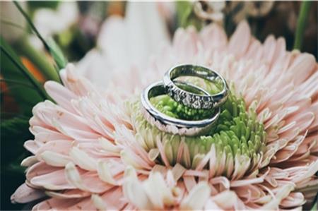 內(nèi)衣市場(chǎng)企業(yè)如何做戰(zhàn)略規(guī)劃