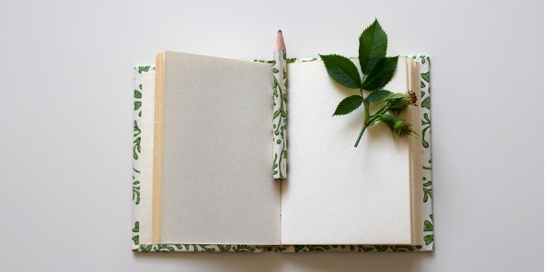 新東方教育品牌戰略