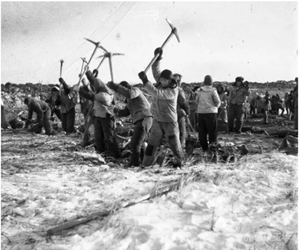 北大荒大米品牌定位,農業(yè)產(chǎn)品戰(zhàn)略定位