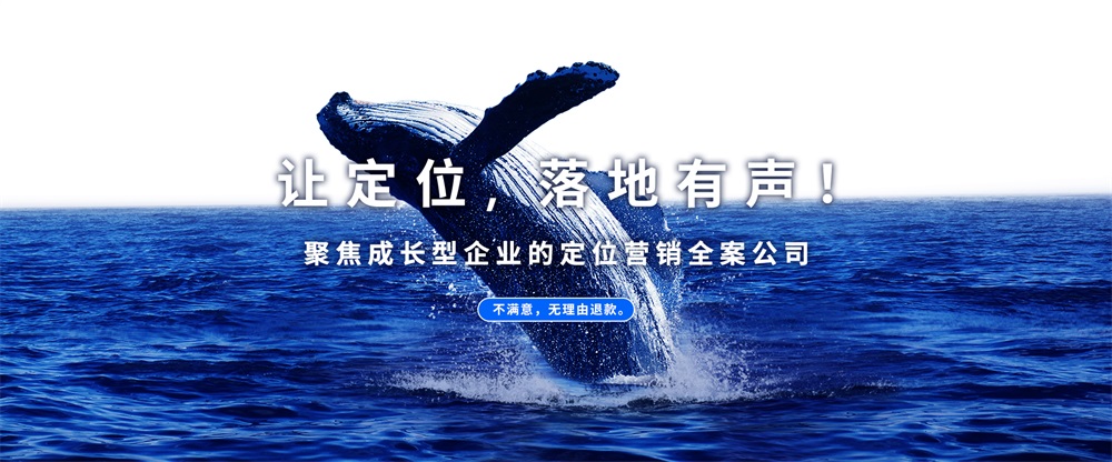 肉類食品品牌定位公司分享：泰安雞家禽行業(yè)案例